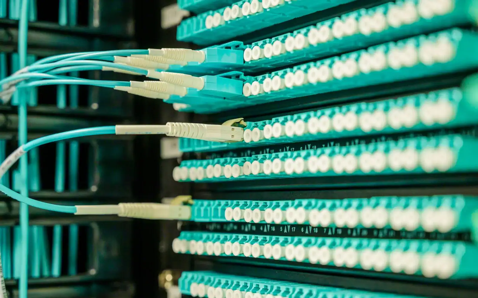 Turkise fiberkabler koblet til et koblingspanel