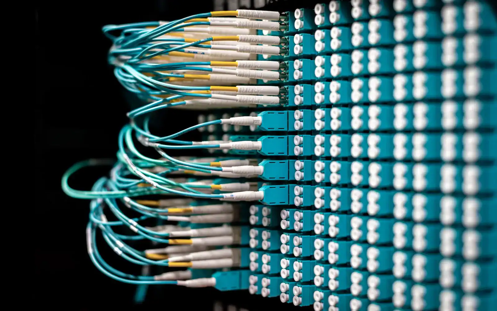 Rekker av fiberkabler koblet til en nettverksswitch